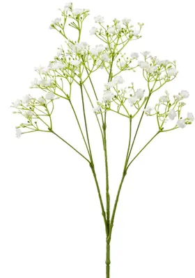 Emerald kunsttak gipskruid 68cm wit - afbeelding 1