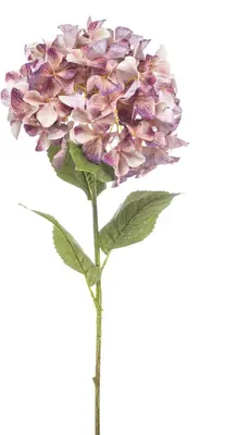 Emerald kunsttak hortensia 90cm perzik, paars - afbeelding 1