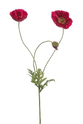 Emerald kunsttak klaproos 75cm fuchsia - afbeelding 1