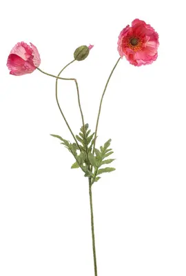 Emerald kunsttak klaproos 75cm roze - afbeelding 1