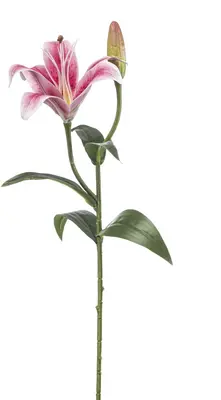 Emerald kunsttak lelie 56cm roze - afbeelding 1