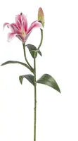 Emerald kunsttak lelie 56cm roze - afbeelding 1