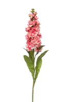 Emerald kunsttak matthiola 80cm koraal - afbeelding 1