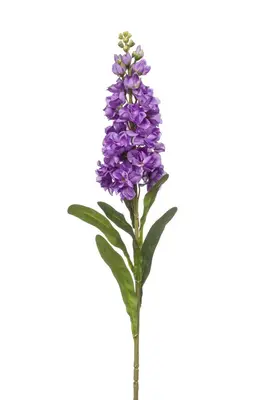 Emerald kunsttak matthiola 80cm paars - afbeelding 1