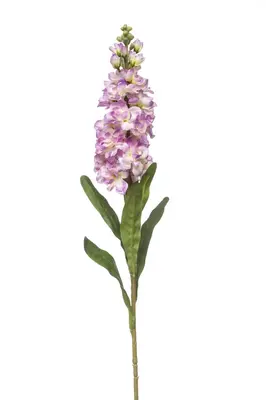 Emerald kunsttak matthiola 80cm paars - afbeelding 1