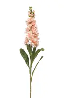 Emerald kunsttak matthiola 80cm perzik - afbeelding 1