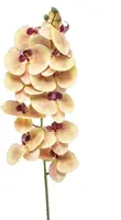 Emerald kunsttak phalaenopsis 100cm geel, fuchsia - afbeelding 1