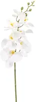 Emerald kunsttak phalaenopsis 84cm wit - afbeelding 1