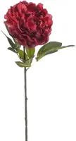 Emerald kunsttak pioen 75cm beauty - afbeelding 1