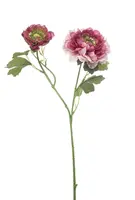 Emerald kunsttak ranonkel 47cm beauty - afbeelding 1