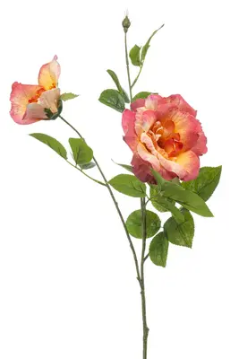 Emerald kunsttak roos 80cm perzik - afbeelding 1
