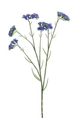 Emerald kunsttak statice 67cm blauw - afbeelding 1