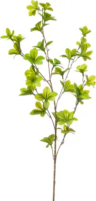 Emerald kunsttak tropaeolum 90cm groen - afbeelding 1