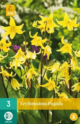 Erythronium Pagoda 3 stuks - afbeelding 1
