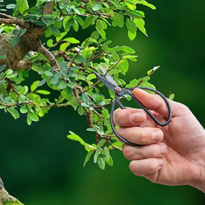 Esschert Design Bonsai Snoeischaar Maat S - afbeelding 2