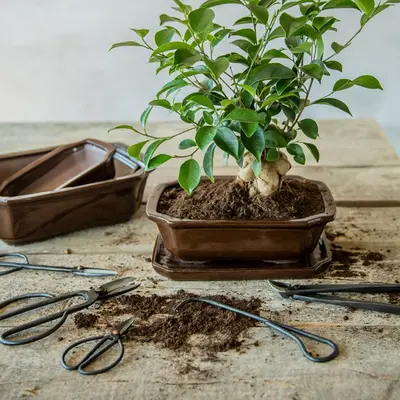 Esschert Design Bonsai Snoeischaar Maat S - afbeelding 3