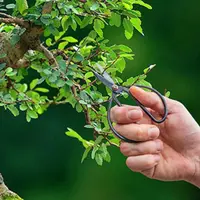 Esschert Design Bonsai Snoeischaar - S - afbeelding 2