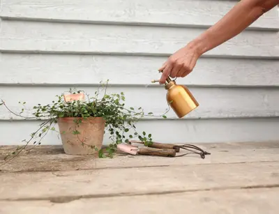 Esschert Design Plantensproeier Koper – 290 ml - afbeelding 2