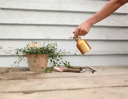 Esschert Design Plantensproeier Koper – 290 ml - afbeelding 2