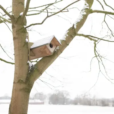 Esschert Design steenuilkast - afbeelding 3