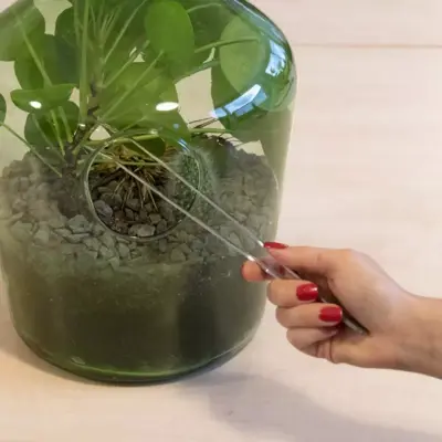 Esschert Design Terrarium pincet - afbeelding 3