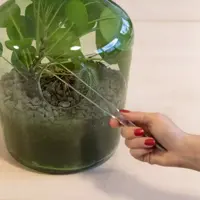 Esschert Design Terrarium pincet - afbeelding 3