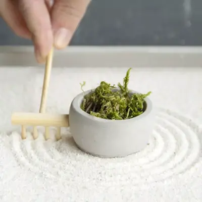 Esschert Design Zentuin harkenset l17b2h13cm - afbeelding 2