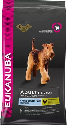 eukanuba dog adult large 3 kg