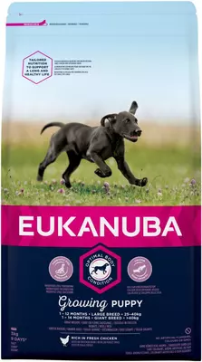 eukanuba dog puppy large 3 kg
