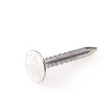 Eurofix asfaltnagel verzinkt 3,0x20 mm 350 gram kopen?