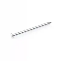 Eurofix Draadnagel pk verzinkt 2,7x55 mm 100 gram kopen?