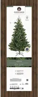 Everlands Alba fir grote kunstkerstboom groen 240cm - afbeelding 5