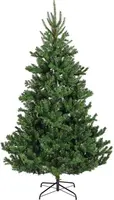 Everlands Alba fir kunstkerstboom groen 210cm - afbeelding 1