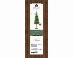 Everlands Alpbach fir kunstkerstboom groen 210cm - afbeelding 7
