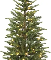 Everlands Alpbach fir verlichte kunstkerstboom groen 180cm, 160 lampjes - afbeelding 2