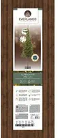 Everlands Alpbach fir verlichte kunstkerstboom groen 210cm, 220 lampjes - afbeelding 7