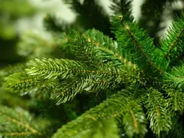Everlands Galloway spruce grote kunstkerstboom groen 240cm - afbeelding 2