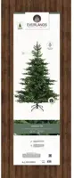 Everlands Grandis fir grote kunstkerstboom groen 300cm - afbeelding 6