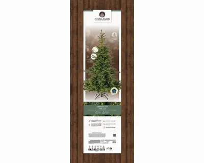 Everlands Grandis fir grote verlichte kunstkerstboom groen 270cm, 800 lampjes - afbeelding 7