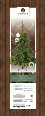 Everlands Grandis fir grote verlichte kunstkerstboom groen 270cm, 800 lampjes - afbeelding 6