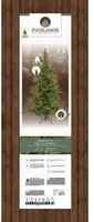 Everlands Grandis fir grote verlichte kunstkerstboom groen 240cm, 5200 lampjes - afbeelding 3