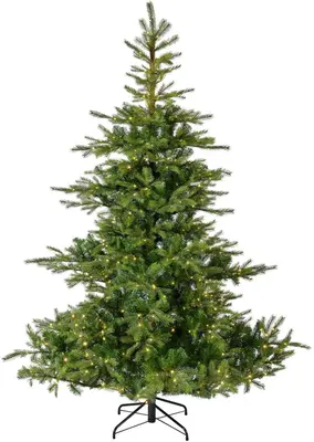 Everlands Grandis fir grote verlichte kunstkerstboom groen 270cm, 800 lampjes - afbeelding 1
