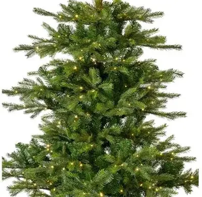 Everlands Grandis fir grote verlichte kunstkerstboom groen 240cm, 700 lampjes - afbeelding 3