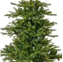 Everlands Grandis fir grote verlichte kunstkerstboom groen 240cm, 700 lampjes - afbeelding 3