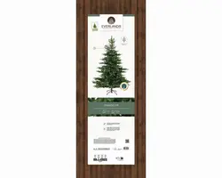 Everlands Grandis fir kunstkerstboom groen 210cm - afbeelding 14