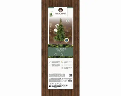 Everlands Grandis fir verlichte kunstkerstboom groen 150cm, 250 lampjes - afbeelding 8
