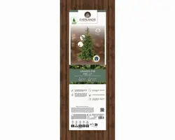 Everlands Grandis fir verlichte kunstkerstboom groen 150cm, 250 lampjes - afbeelding 8