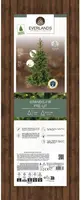 Everlands Grandis fir verlichte kunstkerstboom groen 150cm, 250 lampjes - afbeelding 11