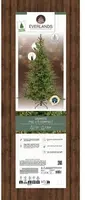 Everlands Grandis fir verlichte kunstkerstboom groen 180cm, 2500 lampjes - afbeelding 2