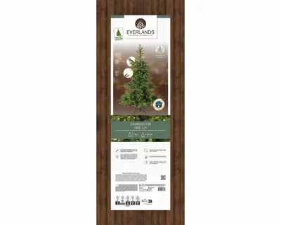 Everlands Grandis fir verlichte kunstkerstboom groen 180cm, 400 lampjes - afbeelding 8